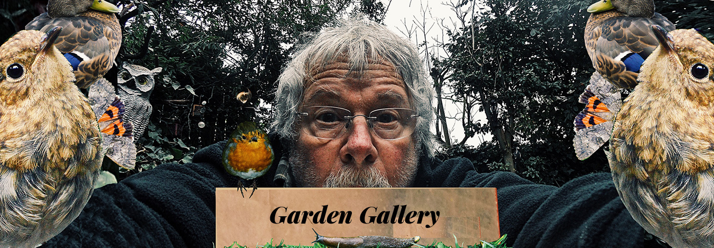 gallery-header